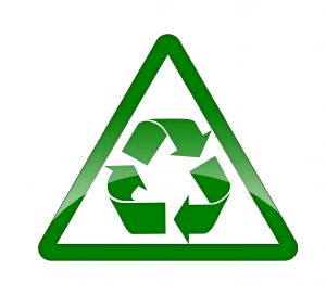 Behind the scenes: Ecology club