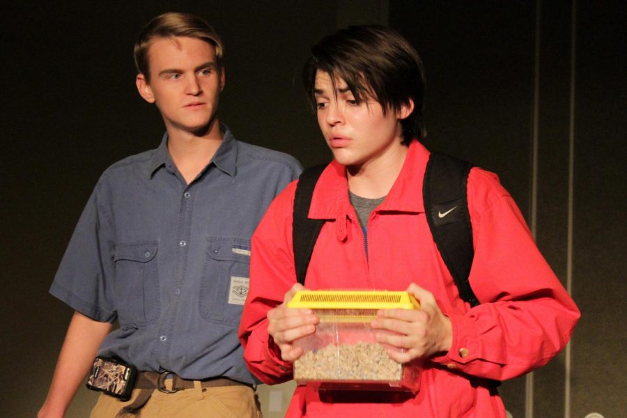 Senior Elijah Glidwell holds a cage for a rat as he plays Christopher Boone.