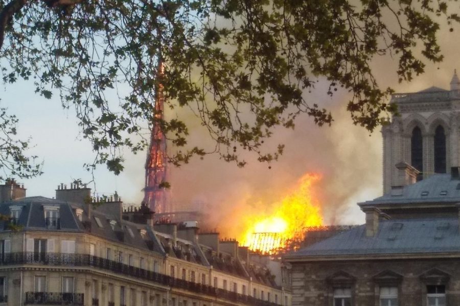 Cathedral at Notre Dame Burns