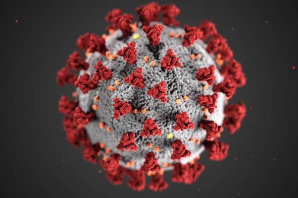 State of Coronavirus