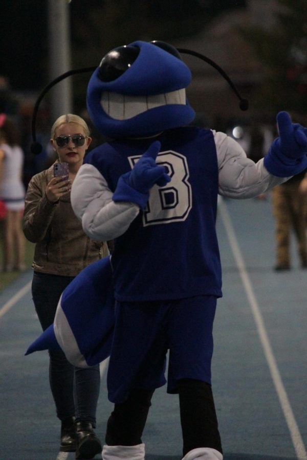Senior Anna DePelsMaeker performs as Buzz the Hornet at the football game against Central High School on Oct. 7.