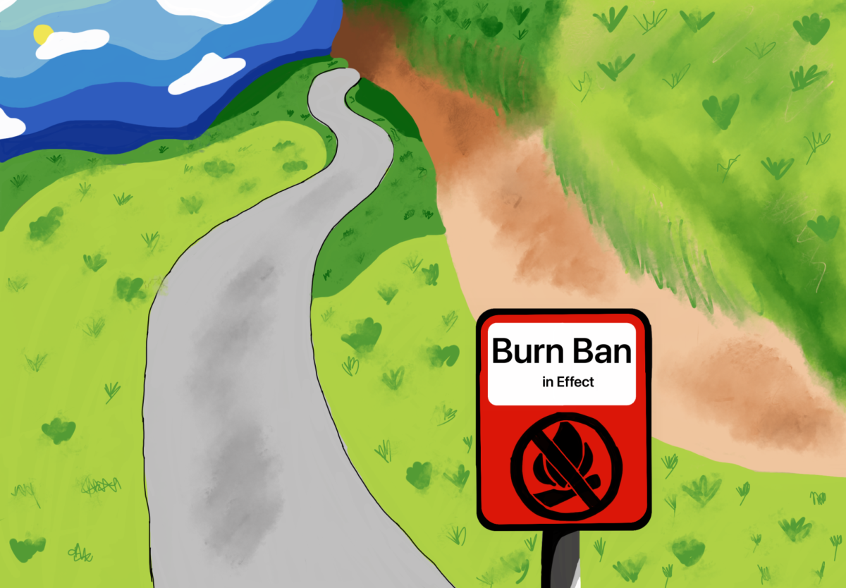 Student made visual for “Burn Bans: The Reason They Exist”