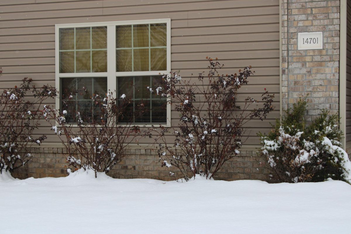 Snow on student's house on Jan. 10.